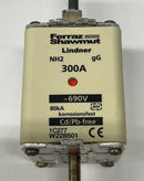 Ferraz Shawmut W228501C NH2 gL-gG Lindner Fuse 300A, 690VAC-4