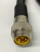 Turck RSM44-2M Power Cable  7/8'' Male Straight 4-Pin U2-15074-3