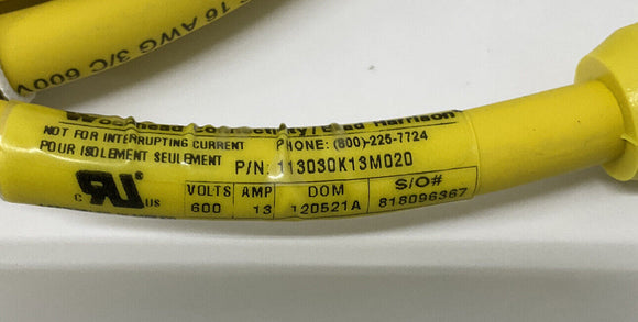 Molex Woodhead 113030K13M020 / 1300100488 3P Male/Female ST Cable 2M