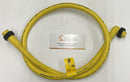 TPC Wire & Cable 98047 BZ7P Female Cable 5-Pin Male to 90°-1