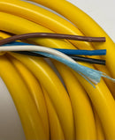 Allen Bradley 889N-R4AF-20F Female 90° 4-Pin Mini Single End 20 Ft. Cable-5