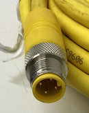 Lumberg Automation RST-4-RKT-4-637/15M  4-Pole 15M Cable-2