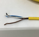 Allen Bradley 889D-R4AE-10 Cable Cordset  4-pin  10M-3