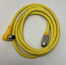 Turck RKG 4.4T-2-WSE 4.4T/S600 Cordset  U5317-89-6