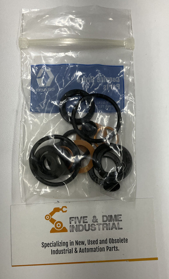 Graco 220656 Air Valve & Pilot Valve Repair Kit