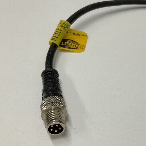 Numatics DPS-180P-1 5-Pin Digital PNP Pressure Sensor 8" Pigtail