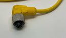Lumberg RKWT-4-633/5M M12, 4-Wire 90° Female Single End Cable 5-Meters-4