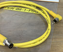 Turck PKW 4M-1-PSG Cable Cordset U-9917515 4M-4