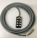 Murr 27282  8-way 5-Pole Distribution Box 10 Meters-4