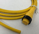 Lumberg Automation RK 100M-652/12F Cordset 10-Pin Female 12 Feet-3