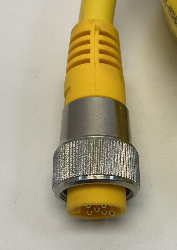 Turck RYM 66-6M MiniFast Cordset U99-13087