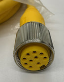 Turck RKM106-4M Female Cable Single End 10-Pole 4 Meters U0980-39-3
