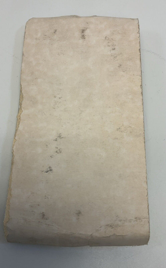 Fabio Perini  50110140  100Ohm,  100 Watt Wirewound Resistor 19x165mm