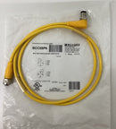 Balluff BCC M415-M424-3A-304-VX44T2-010 Cable M12 Female x M12 Male 90 Degree-1