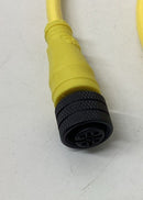 Brad Harrison 1200660691  M12 4-Pole, Maleto Female Straight Cable 4-Meters-2