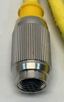 Turck RKG 4.4T-2-WSE 4.4T/S600 Cordset  U5317-89-4