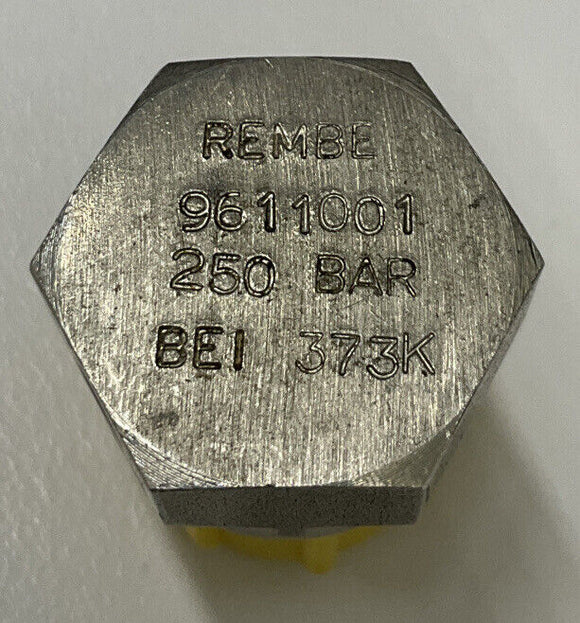 Rembe 9611001 / 9702189 250 Bar Pressure Relief Valve