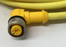 Turck WK4.41T-8/S529 Cable M12, 90 Deg. Female Single End 4-Wire 8M-3
