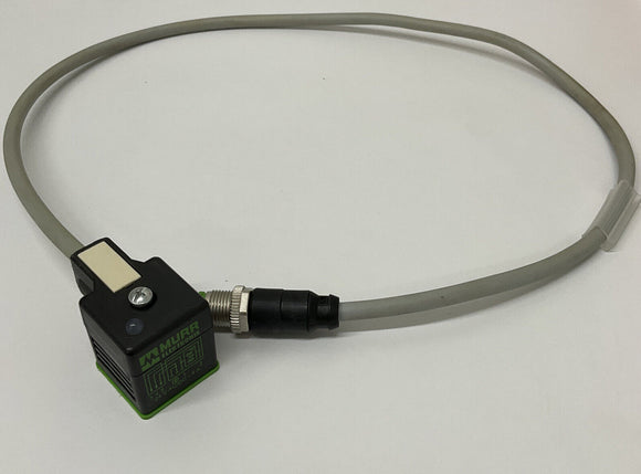 Murr Elektrinik 7000-40881-2260060 M12 Male/MSUD 0.6 Meter Cable