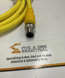 Turck RKG 4.4T-2-RSE 4.4T/S600 Cordset U5317-92-5