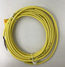 Turck WK4.41T-6/S529 Cable M12, 90 Deg. Female Single End 6M-5