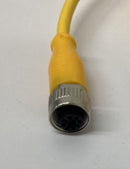 Balluff BCC M415-M424-3A-304-VX44T2-010 Cable M12 Female x M12 Male 90 Degree-4