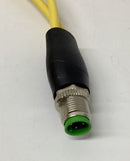 Murr 7000-40721-0130150 M12 Y-Splitter 3-Wire 1.5M-4