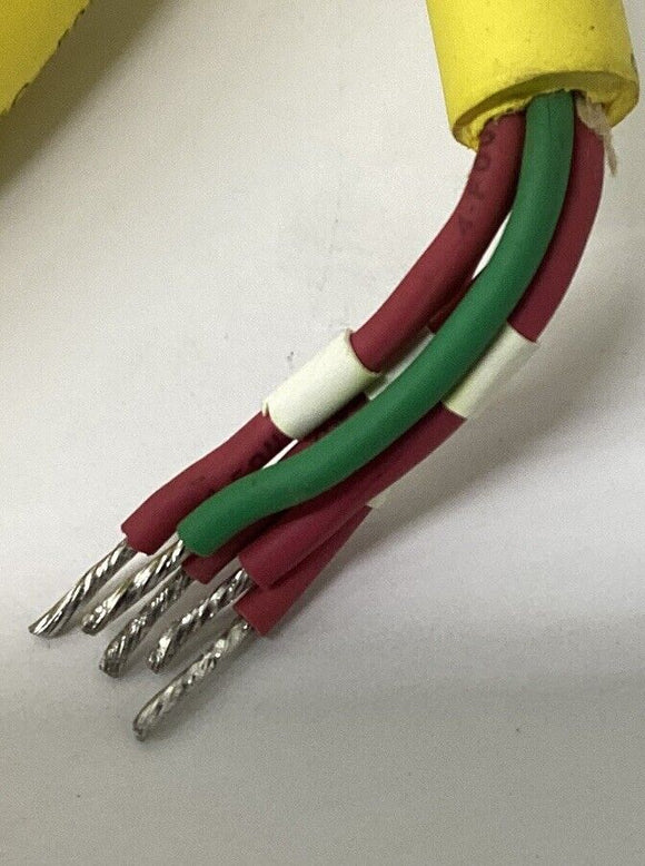 Turck RKM 55-4M/S600 Cable Cordset MiniFast 5-Pin 4-Meter U5164-1