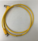 Balluff BCC M415-M424-3A-304-VX44T2-010 Cable M12 Female x M12 Male 90 Degree-5