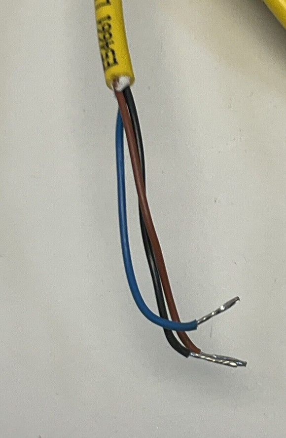 Turck Pkg 4Z-2-PSG 4 Cable Cordset U99-10871