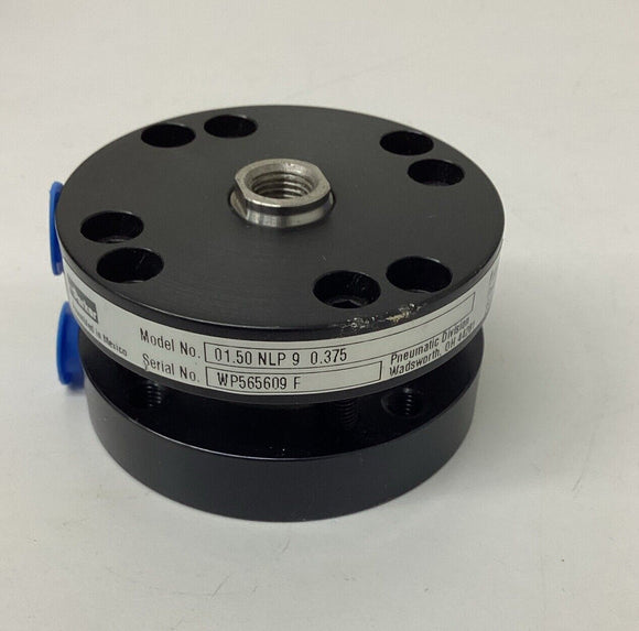 Parker 01.50-NLP9/0.373 Pneumatic Cylinder 250 PSI Envelope Pressure