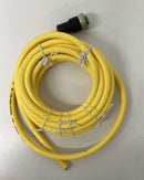 Murr 7700-A4021-U1C0500 7/8'' Mini Female 4-Wire Cable 5M-5