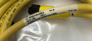 Allen Bradley 879D-F4HJDM-3 4-Pin Female Micro to Dual Male 3 Meters-4