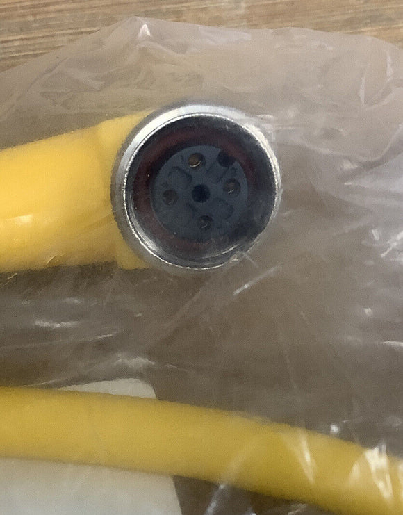 Turck WKC 4.4T-0.5-WSC 4.4T/S3060 Cable Cordset U-35350