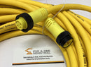 Brad WoodHead 13000100880 / 114030K12M180 4-Pole Cable Cordset-5