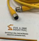 Balluff BCC M415-M414-3A-304-EX44T2-080BCC Connector Cable M12, A-Coded Straight-2