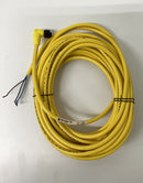 Allen Bradley 889D-R4AE-10 Cable Cordset  4-pin  10M-5