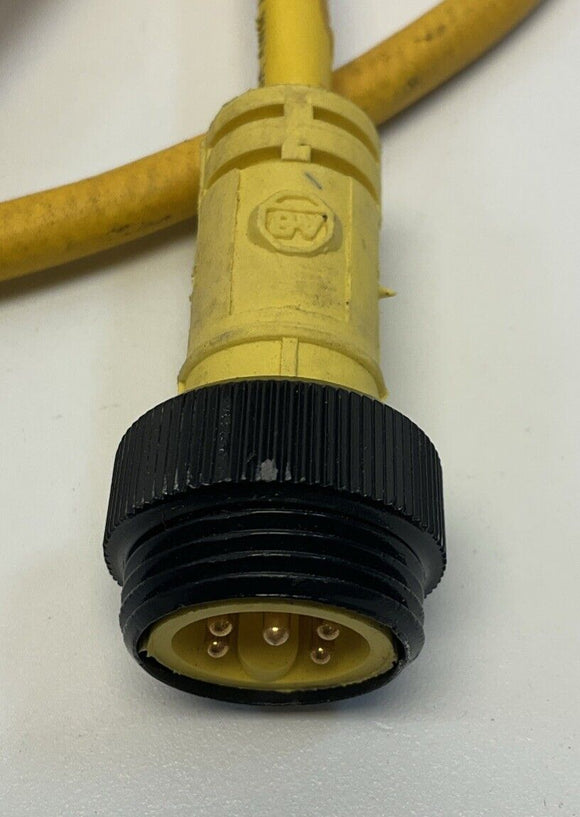 Allen Bradley 1485P-P4R5-C2-M5 Junction Box Series A