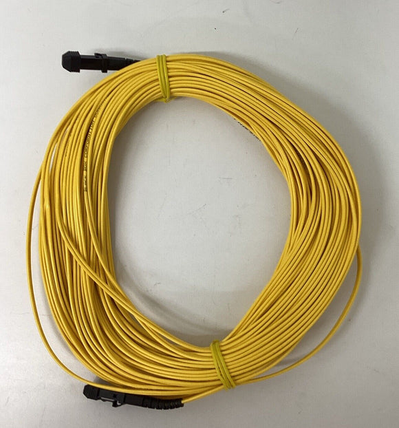 Black Box EFP310-030M-MTMT Single-Mode Optic Cable 30-Meters