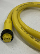 Brad Harrison 208000A01F060 Cordset,8-Pin,Receptacle,Female-2