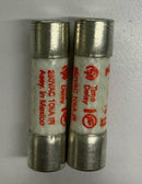 Ferraz Shawmut TRM5 Lot of 2 Time Delay Fuses 250 VAC-2