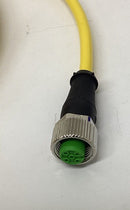 Murr 7000-12221-0140600 M12 Female Single End 4 Pole Cable 6M-3