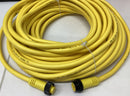 Brad Woodhead 1300100766 / 114030A01M200 AP M/F 20M Cordset Cable-4