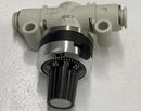 CKD DVL-S-06-H66-020 Graduate Regulating Valve-7