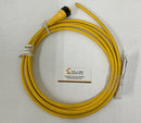 Lumberg Automation RK 100M-652/12F Cordset 10-Pin Female 12 Feet-1