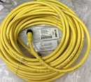 Brad Woodhead 1300100766 / 114030A01M200 AP M/F 20M Cordset Cable-1