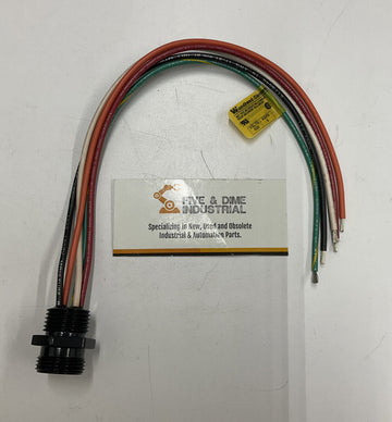 Brad Connectivity 1R5004A20A120 5-Pin Female Straight 12"