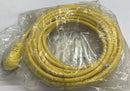 Brad Harrison 1300080282 Mini-Change 12-Pole 90° Single-End Cable 10M-6