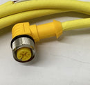Turck WK4.41T-2/S529 Cable M12, 90 Deg. Female Single End 4-Wire 4M-3