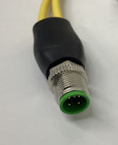 Murr 7000-40721-0130060 M12 Y-Splitter 5-Pole 0.6 Meter-3